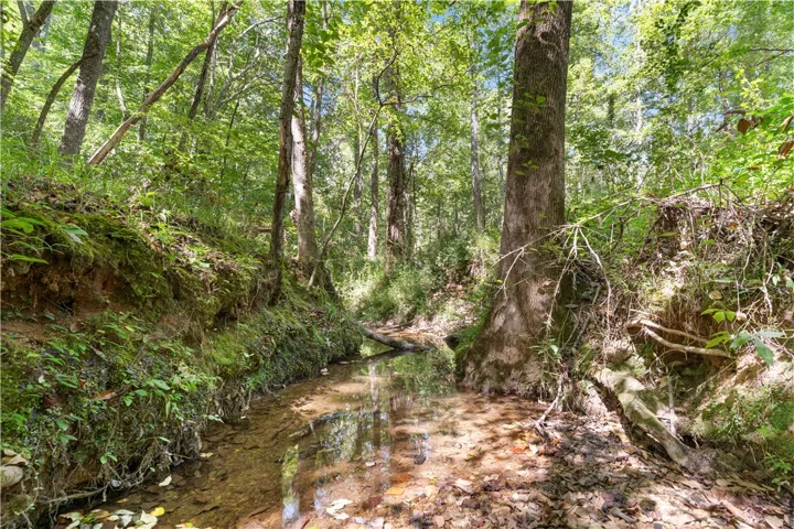 561 Simpson N/a, Daviston, Alabama 36256