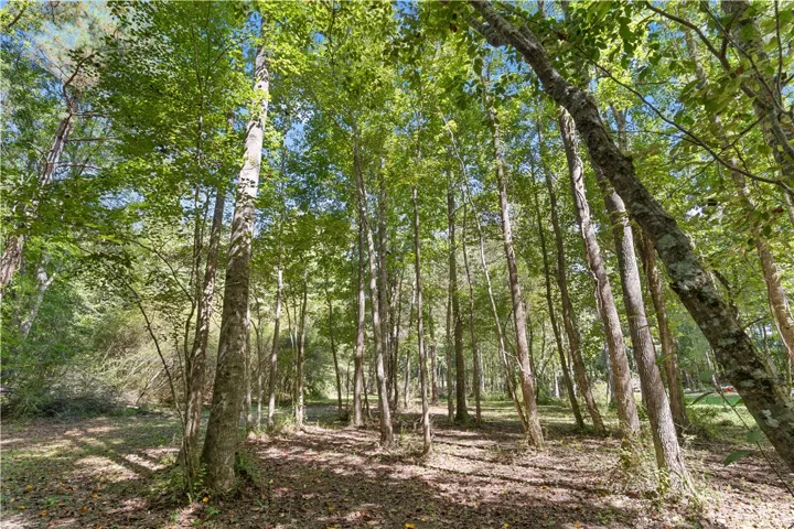 561 Simpson N/a, Daviston, Alabama 36256
