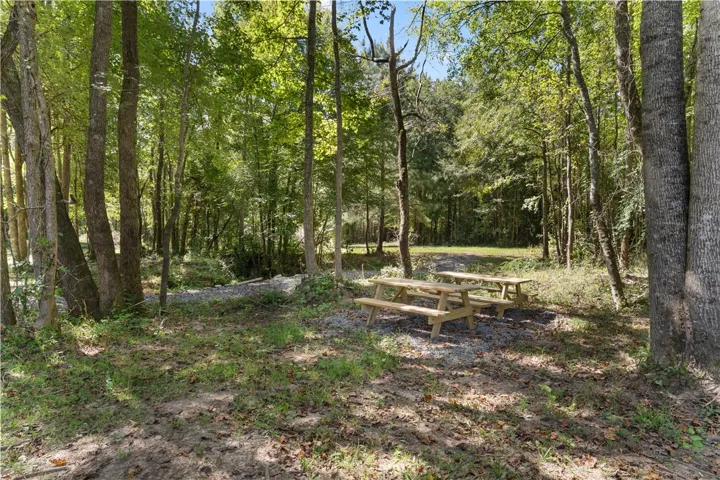 561 Simpson N/a, Daviston, Alabama 36256
