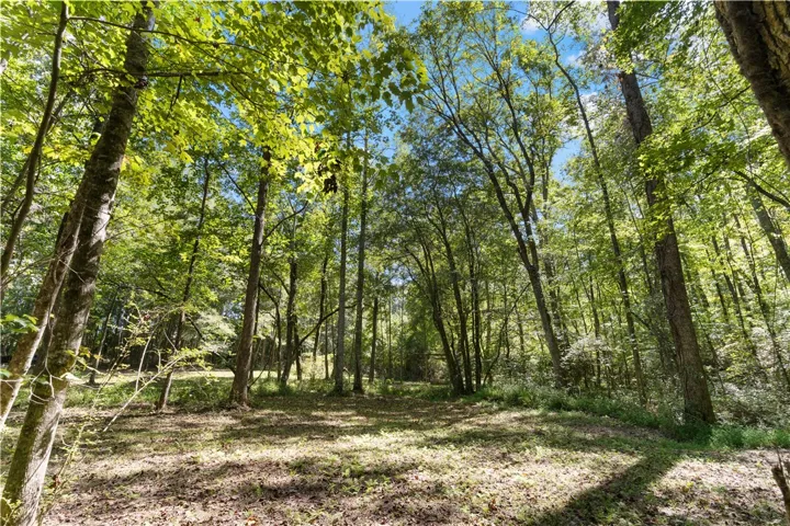 561 Simpson N/a, Daviston, Alabama 36256