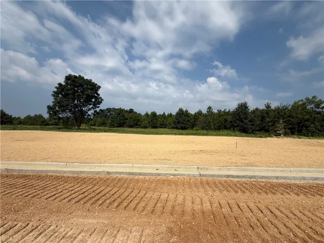 Lot 20 Homestead Lane, Smiths Station, Alabama 36877