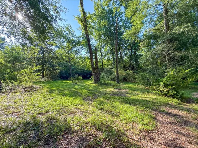 80428 Highway 9 N/a, Ashland, Alabama 36251