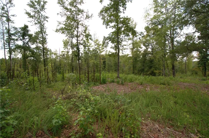0 Tallapoosa Road, Camp Hill, Alabama 36850