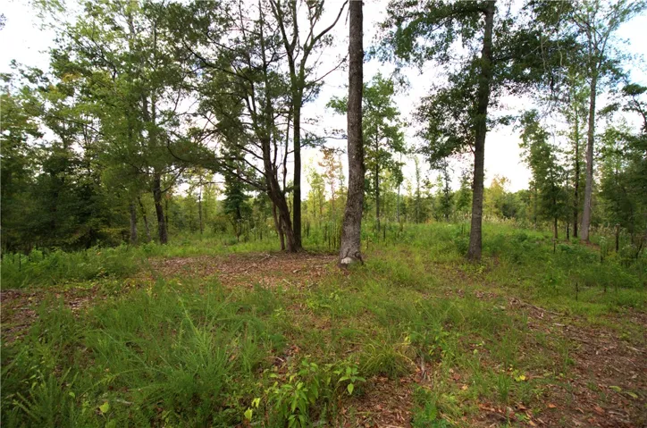 0 Tallapoosa Road, Camp Hill, Alabama 36850