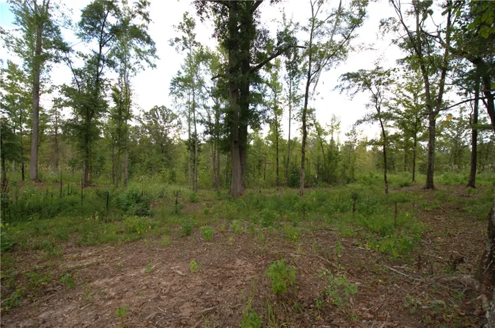 0 Tallapoosa Road, Camp Hill, Alabama 36850