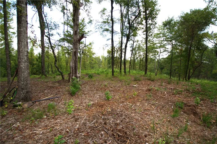 0 Tallapoosa Road, Camp Hill, Alabama 36850