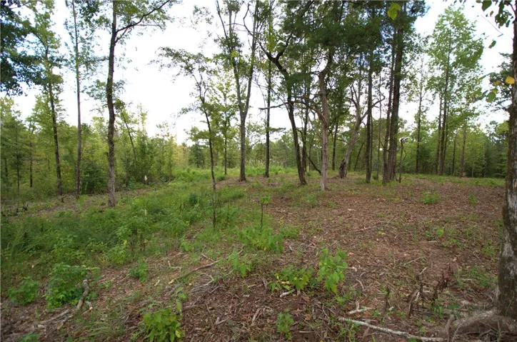 0 Tallapoosa Road, Camp Hill, Alabama 36850