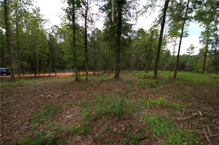 0 Tallapoosa Road, Camp Hill, Alabama 36850