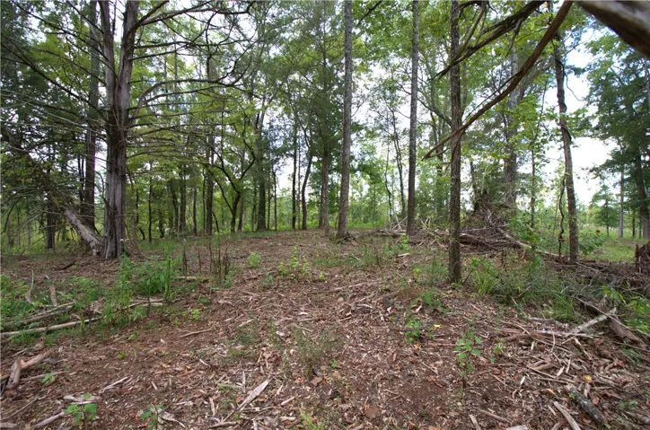 0 Tallapoosa Road, Camp Hill, Alabama 36850