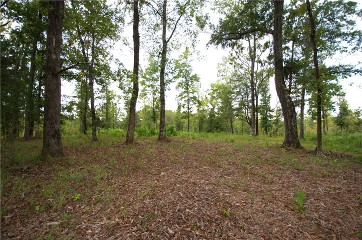 0 Tallapoosa Road, Camp Hill, Alabama 36850