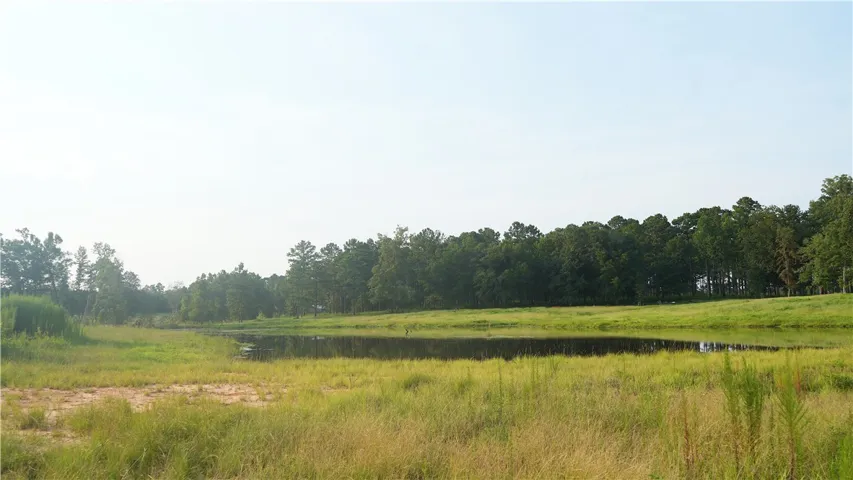 1362 N Friendship Drive, Greenville, Alabama 36037