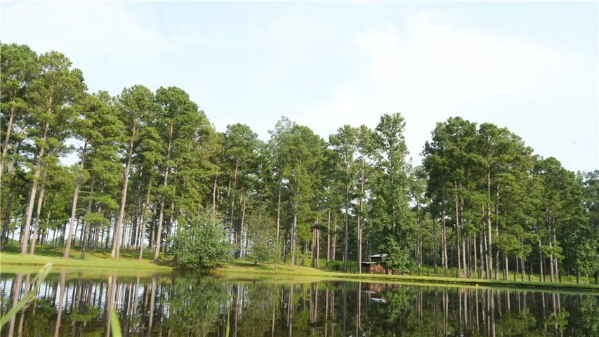 1362 N Friendship Drive, Greenville, Alabama 36037
