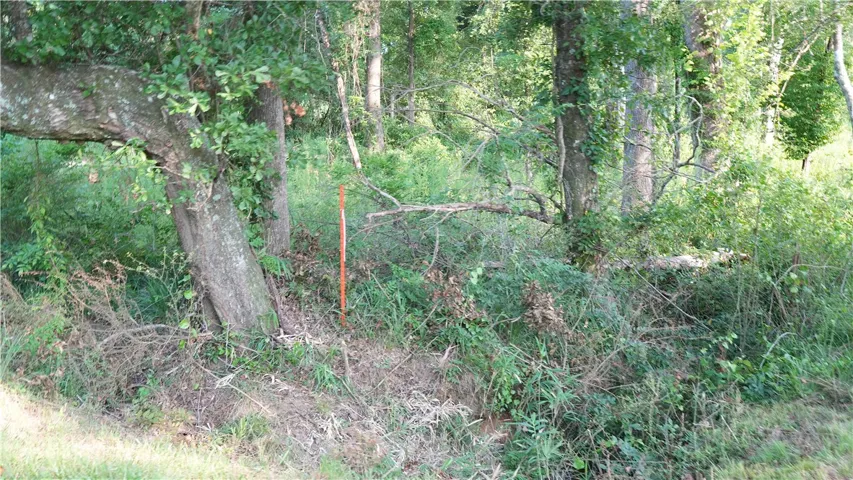 1362 N Friendship Drive, Greenville, Alabama 36037