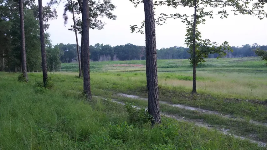 1362 N Friendship Drive, Greenville, Alabama 36037