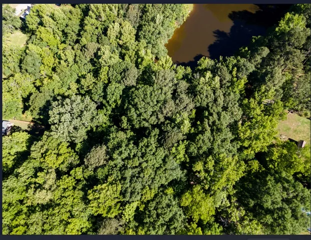 woods and lake/pond
