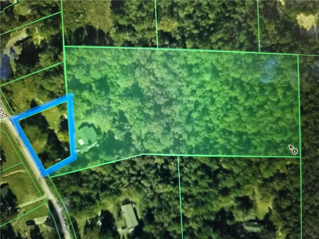 Aerial view of Lots 8 and 12. Lot 12 traced in blue and Lot 8 shaded in green.