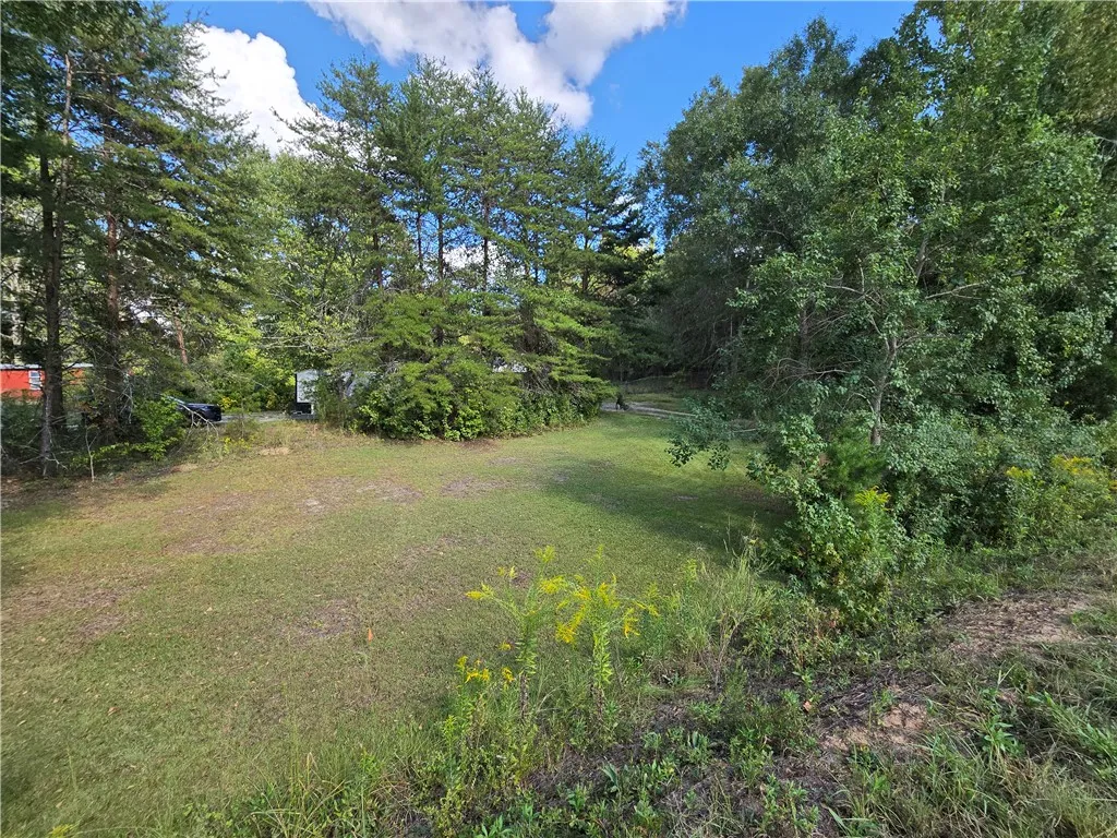 Mature trees frame a grassy, open clearing under a blue sky.