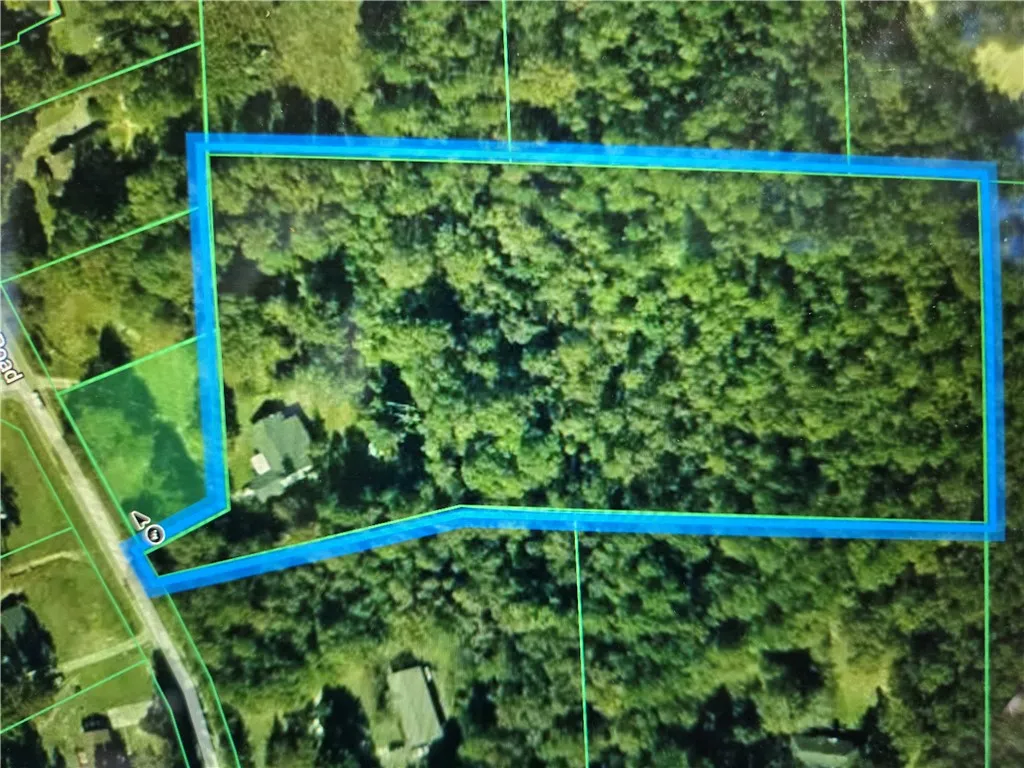 Aerial view of Lots 8 and 12. Lot 8 traced in blue and Lot 12 shaded in green.