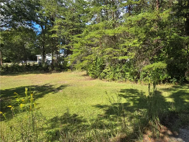 Mature trees frame a grassy clearing, offering a peaceful natural setting.