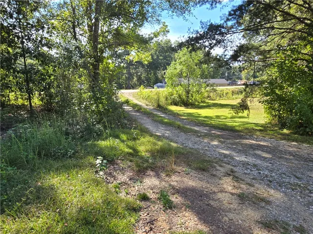 Mature trees shade a gravel driveway leading toward the open building site.