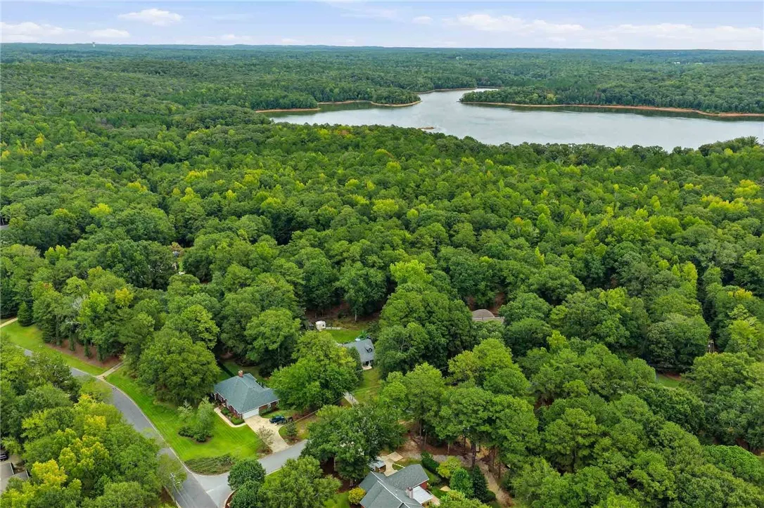 Lush green woodlands frame a scenic view of the nearby lake.
