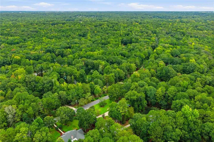 An extensive canopy of lush green trees stretches toward the horizon from this high vantage point.