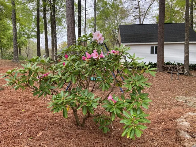 1280 Taylor Court, Auburn, Alabama 36830