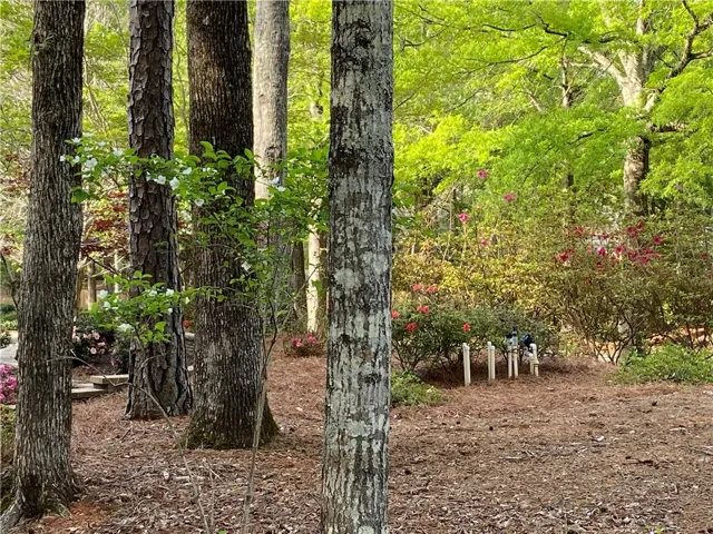 1280 Taylor Court, Auburn, Alabama 36830