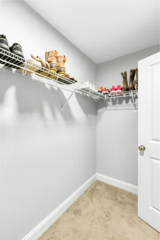 Ample wire shelving and soft carpeting define this functional walk-in closet space.