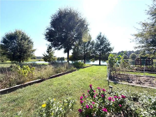 community garden