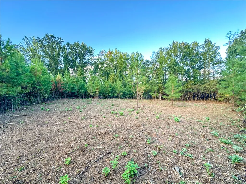 Mature trees frame a cleared, open building site ready for your custom plans.