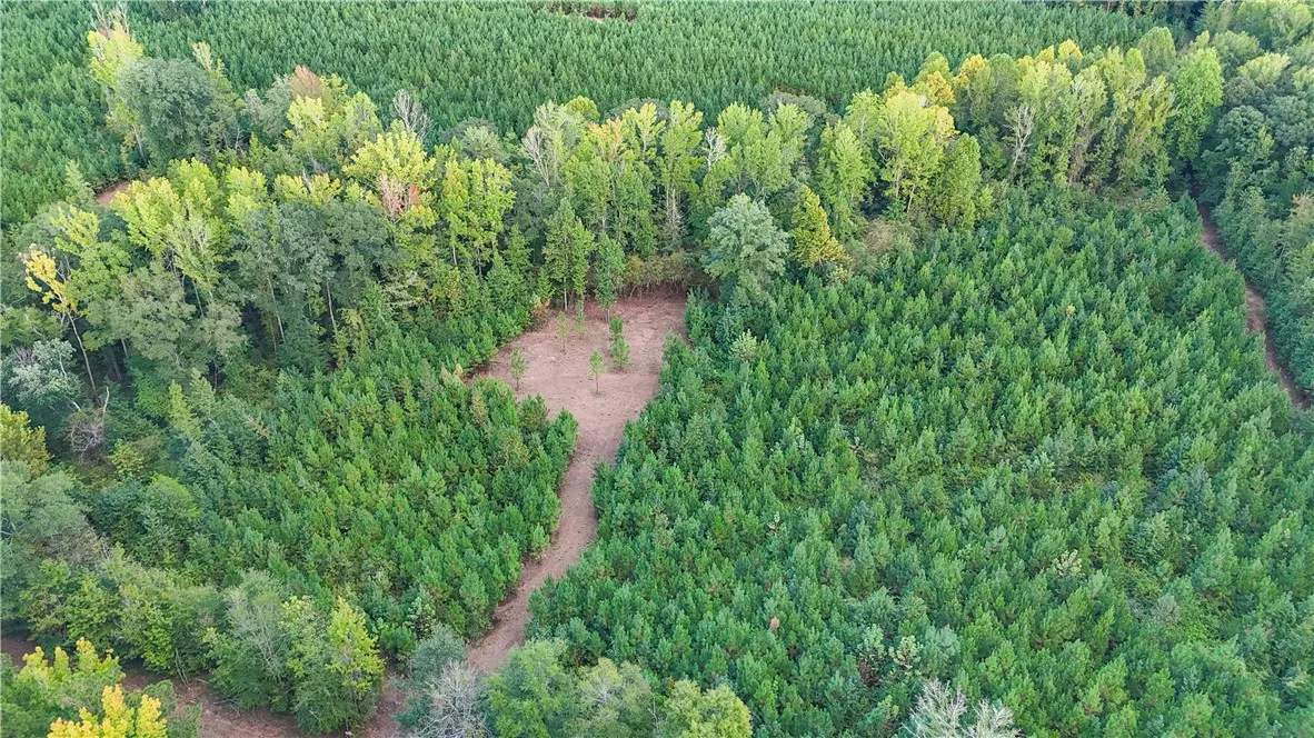 Mature woodlands and private clearings define this expansive acreage.