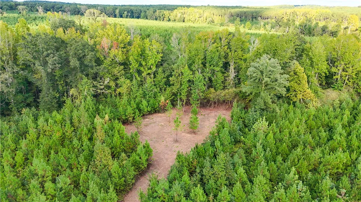 Mature woodlands and a cleared clearing define this expansive natural landscape.
