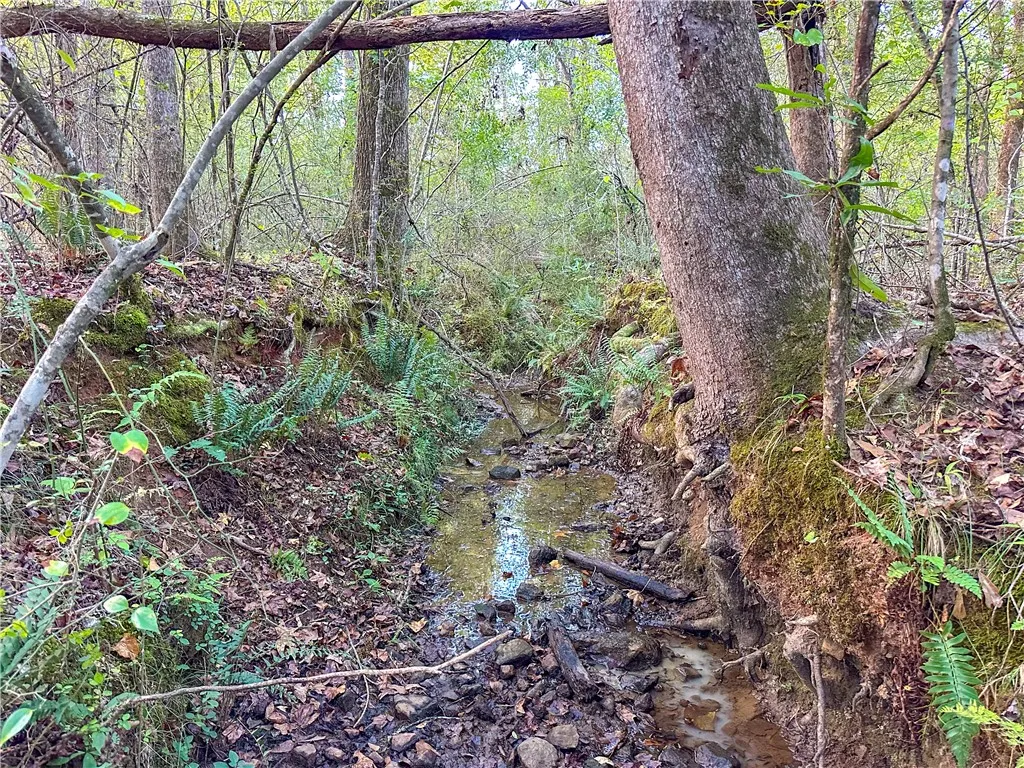 A gentle stream winds through the mature forest on this serene property.