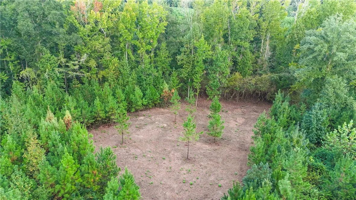 A cleared building site nestled among mature trees offers natural privacy.