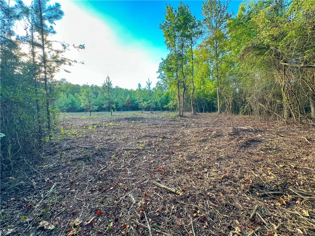 Mature trees frame a cleared, open parcel ready for your custom home design.