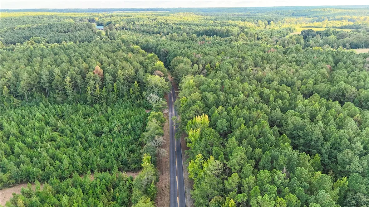 Mature woodlands flank a paved country road stretching toward the horizon.