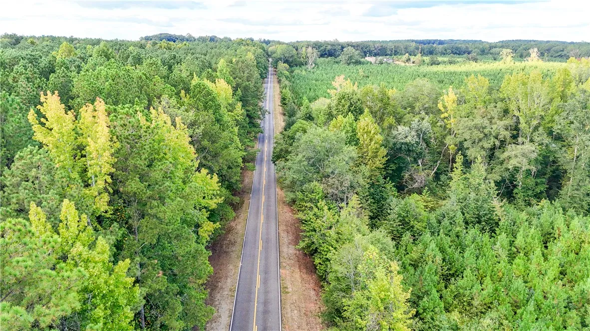 Mature woodlands flank a paved road in this high-altitude landscape view.