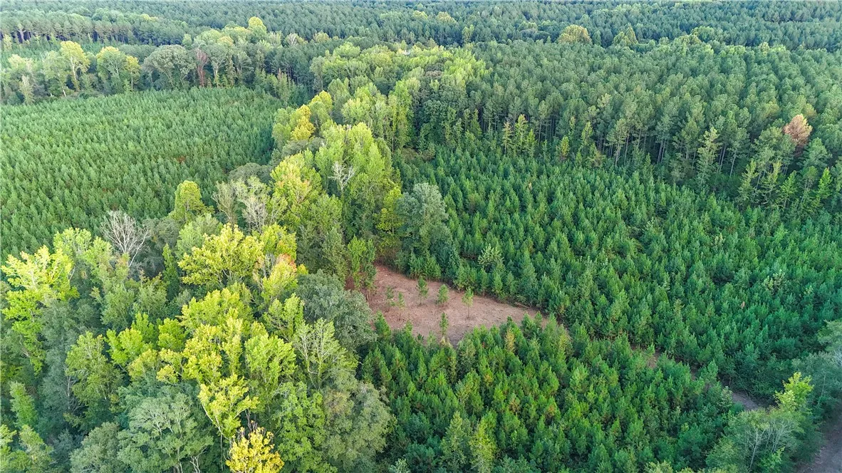 Mature woodlands and dense tree lines envelope this tranquil acreage under open skies.