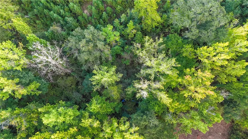 Mature trees form a lush, dense canopy across this expansive natural landscape.