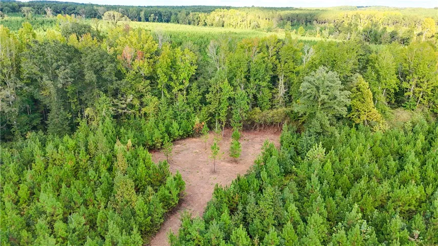 Mature woodlands and a cleared clearing define this expansive natural landscape.