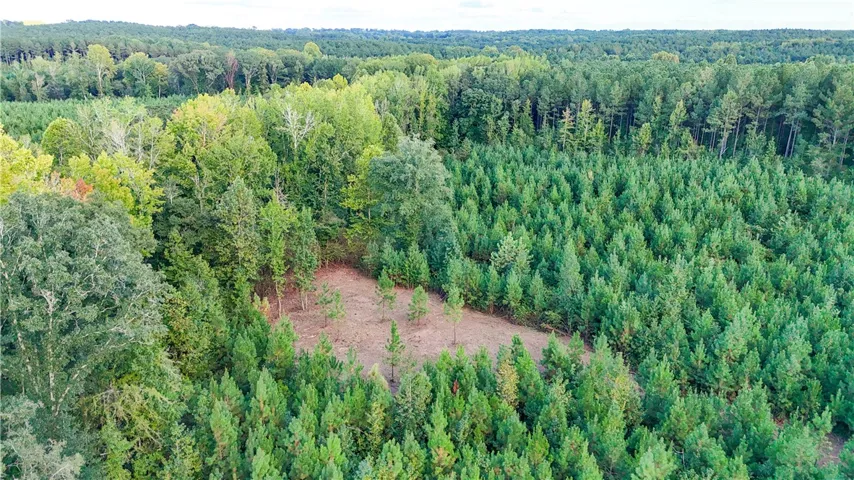 Mature woodlands envelope a cleared building site, offering ultimate seclusion and natural beauty.