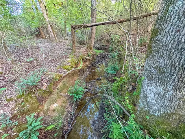 Mature trees line a seasonal stream running through this peaceful wooded property.