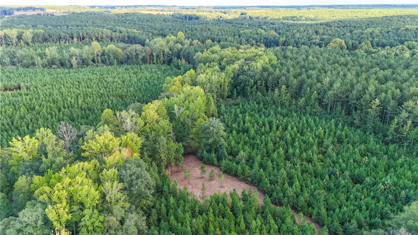 An aerial view showcases a cleared building site nestled within dense, mature woodlands.