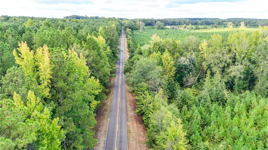 Mature woodlands flank a paved road in this high-altitude landscape view.