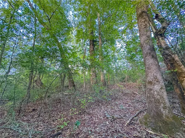 Mature trees blanket the gently sloping terrain of this wooded homesite.