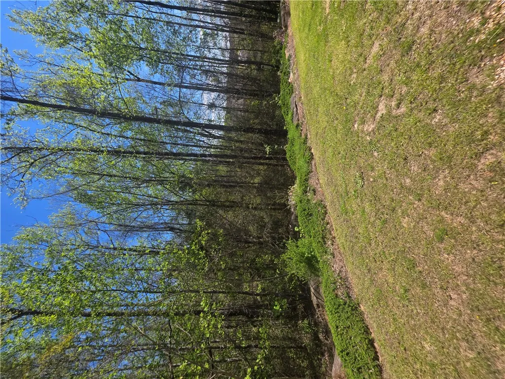 Mature trees border a grassy lawn, creating a serene natural boundary.