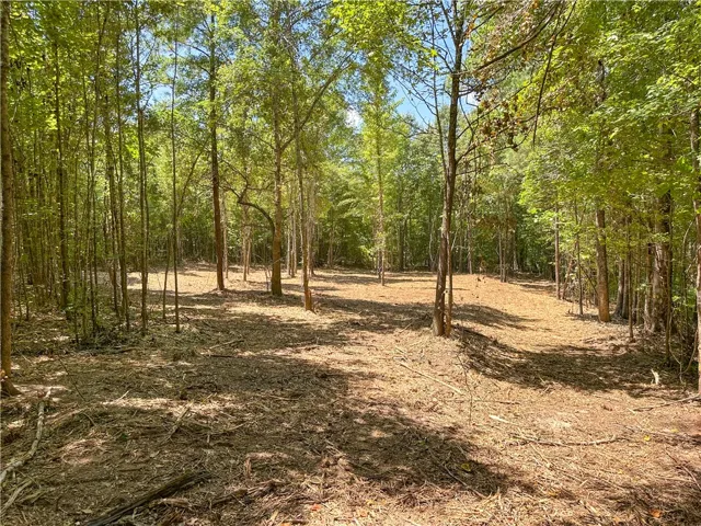 Mature trees surround a cleared build site ready for your custom home design.