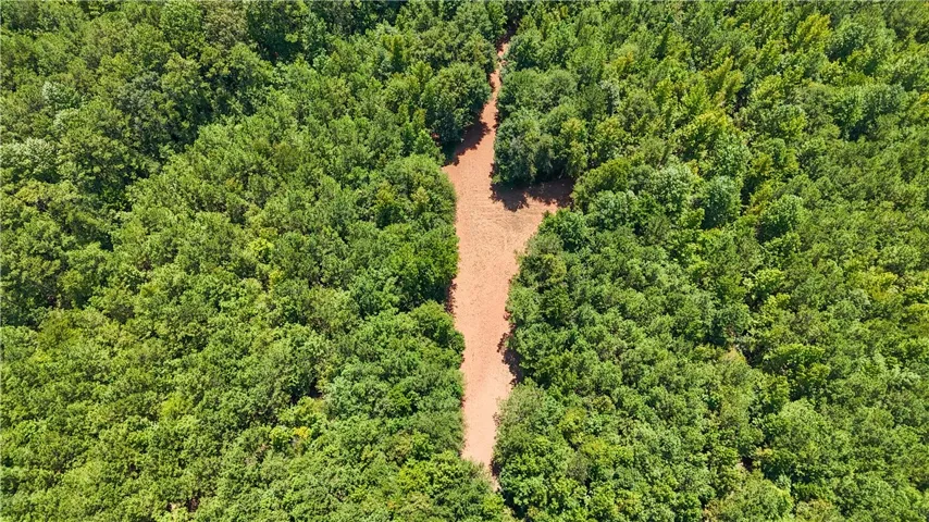 Mature woodlands envelope a cleared building site, offering ultimate privacy and natural beauty.