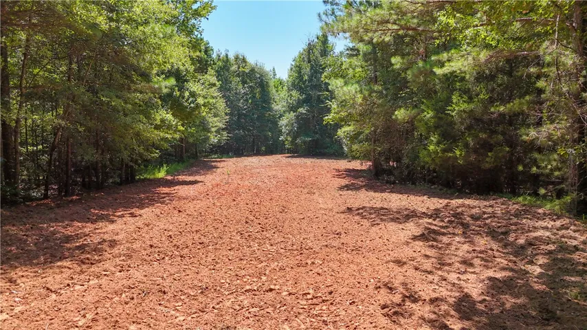 Mature trees frame a cleared, open building site ready for development.